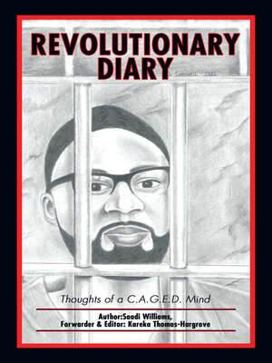 cover image of Revolutionary Diary